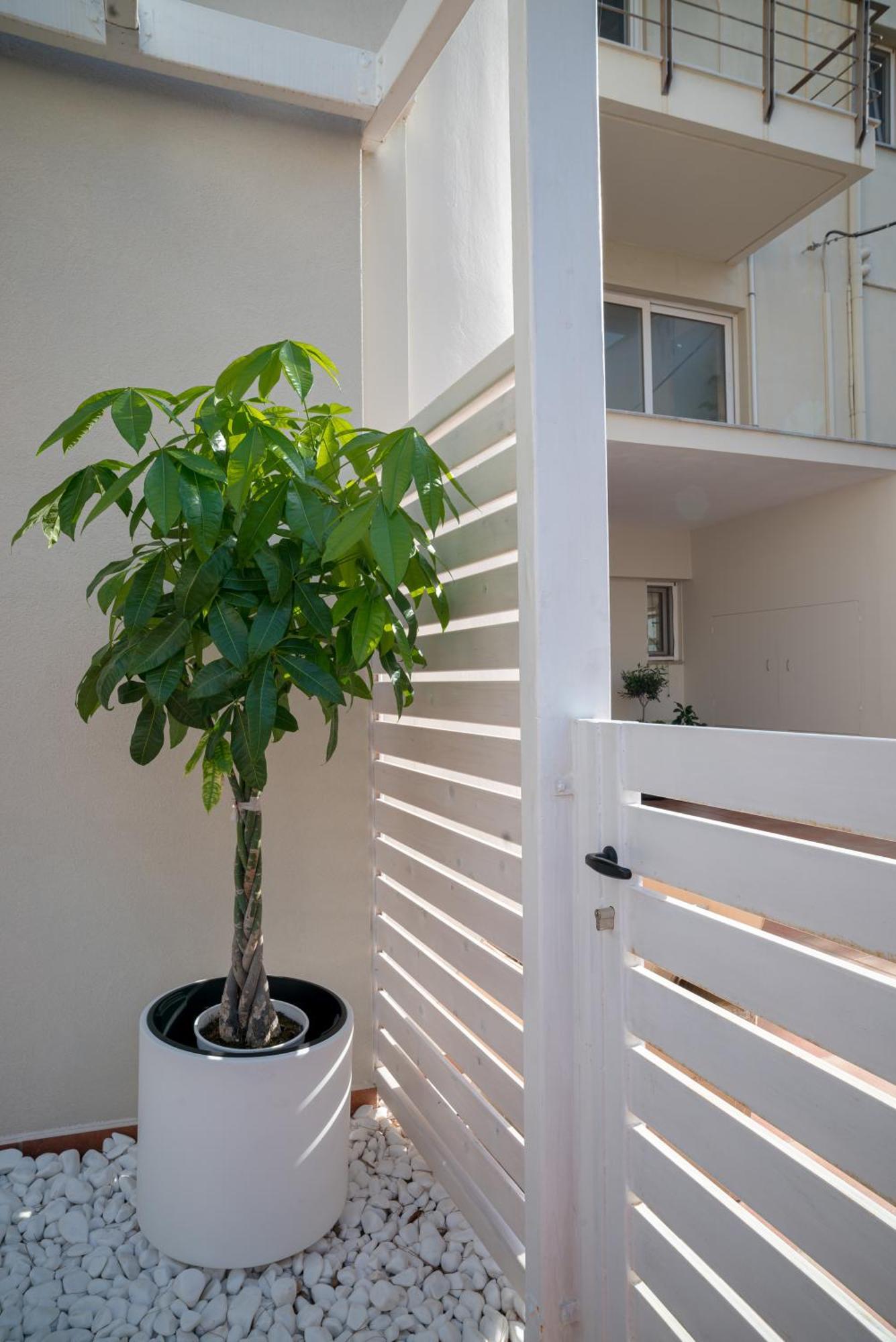 Apartment Coconut Blue