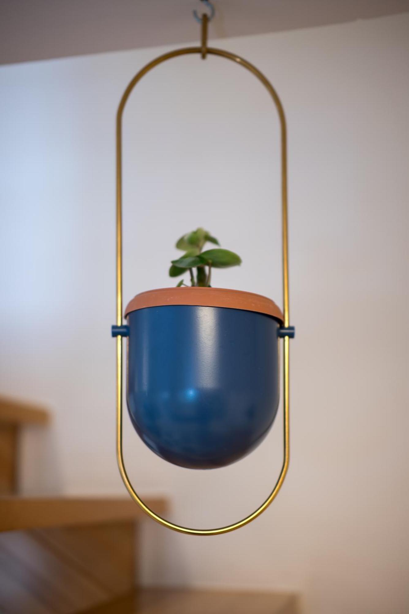 Coconut Blue Apartment Itea